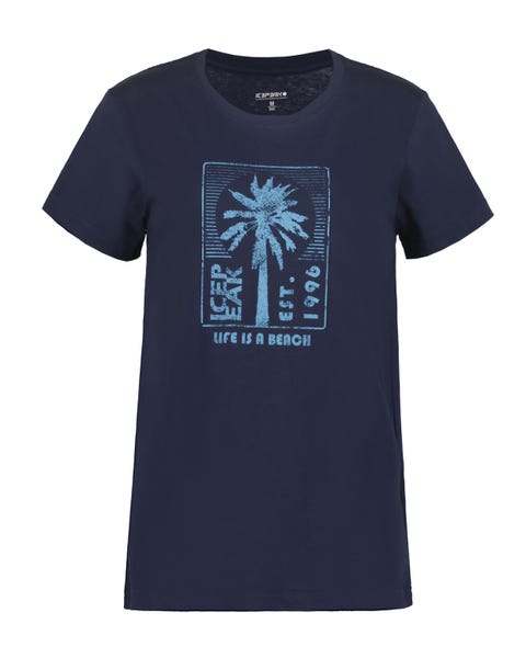 Icepeak Makawao
