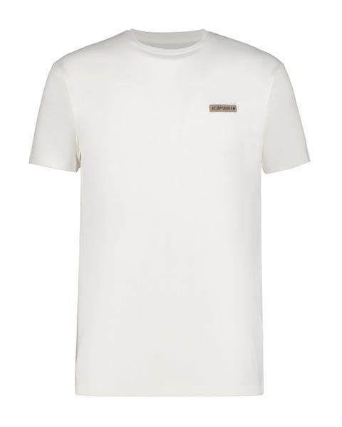 Icepeak Yank